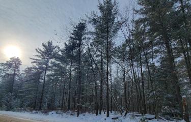 20260106_121913 (1)