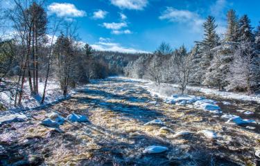 DJI_20260116111908_0131_D