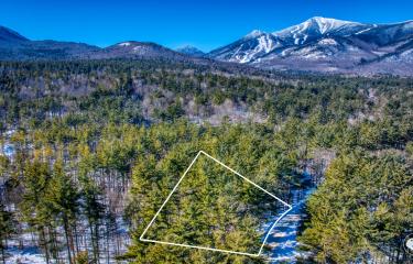 DJI_20260201111603_0241_D copy