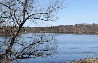 Lake Roxanne Pic 1