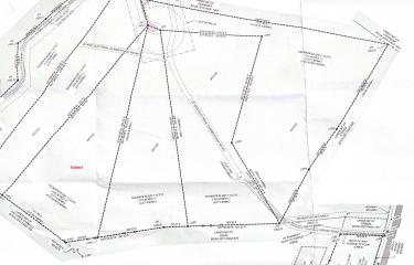 Survey Lot 5