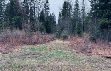 Standish Road 86 Acres